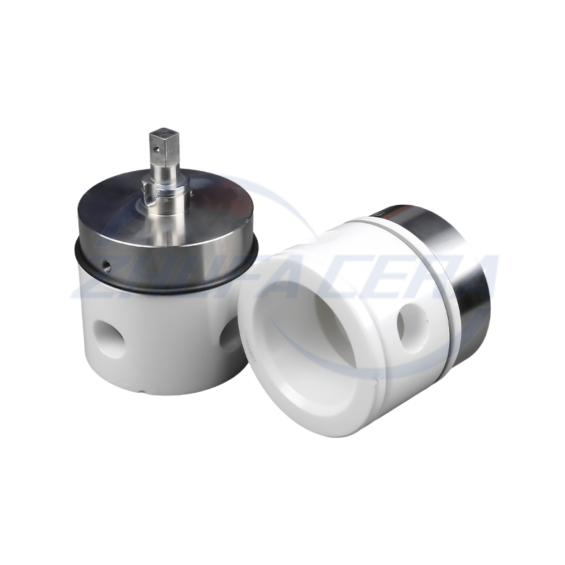 Zirconia criadóireachta miotail plunger